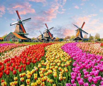 Cum m-am adaptat în Olanda? (Guest post – Aniela Ciugureanu)