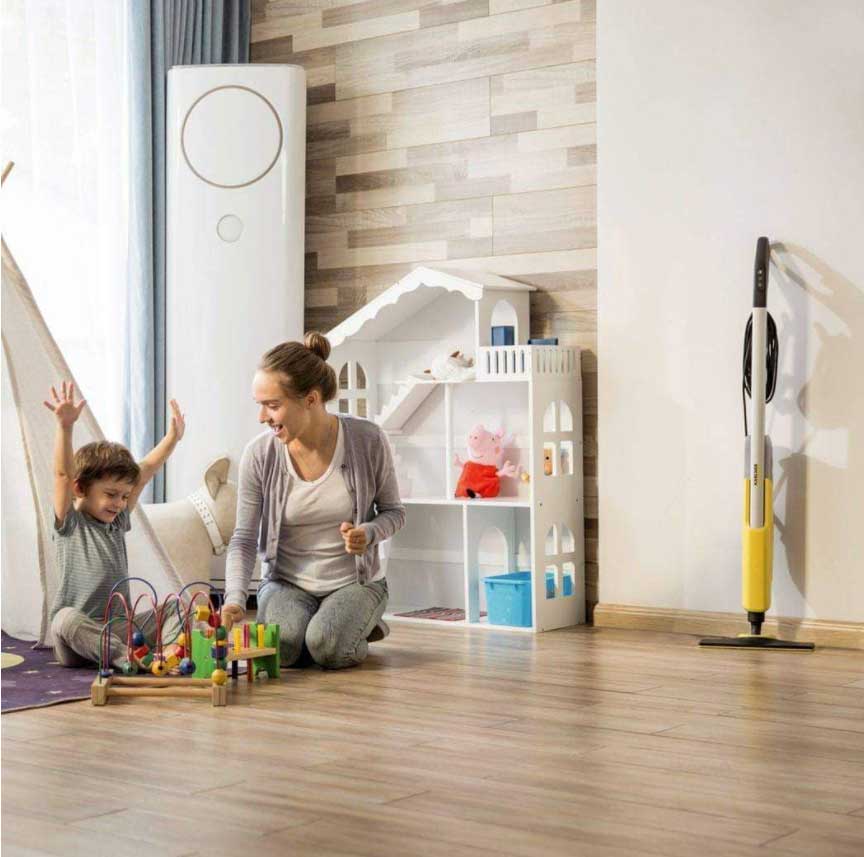 Curățenie de primăvară cu Kärcher Lady in Black Curățenie de primăvară completa