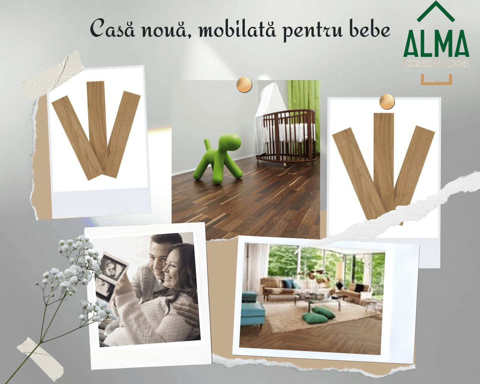 Casa-noua-cu-Alma-Parchet