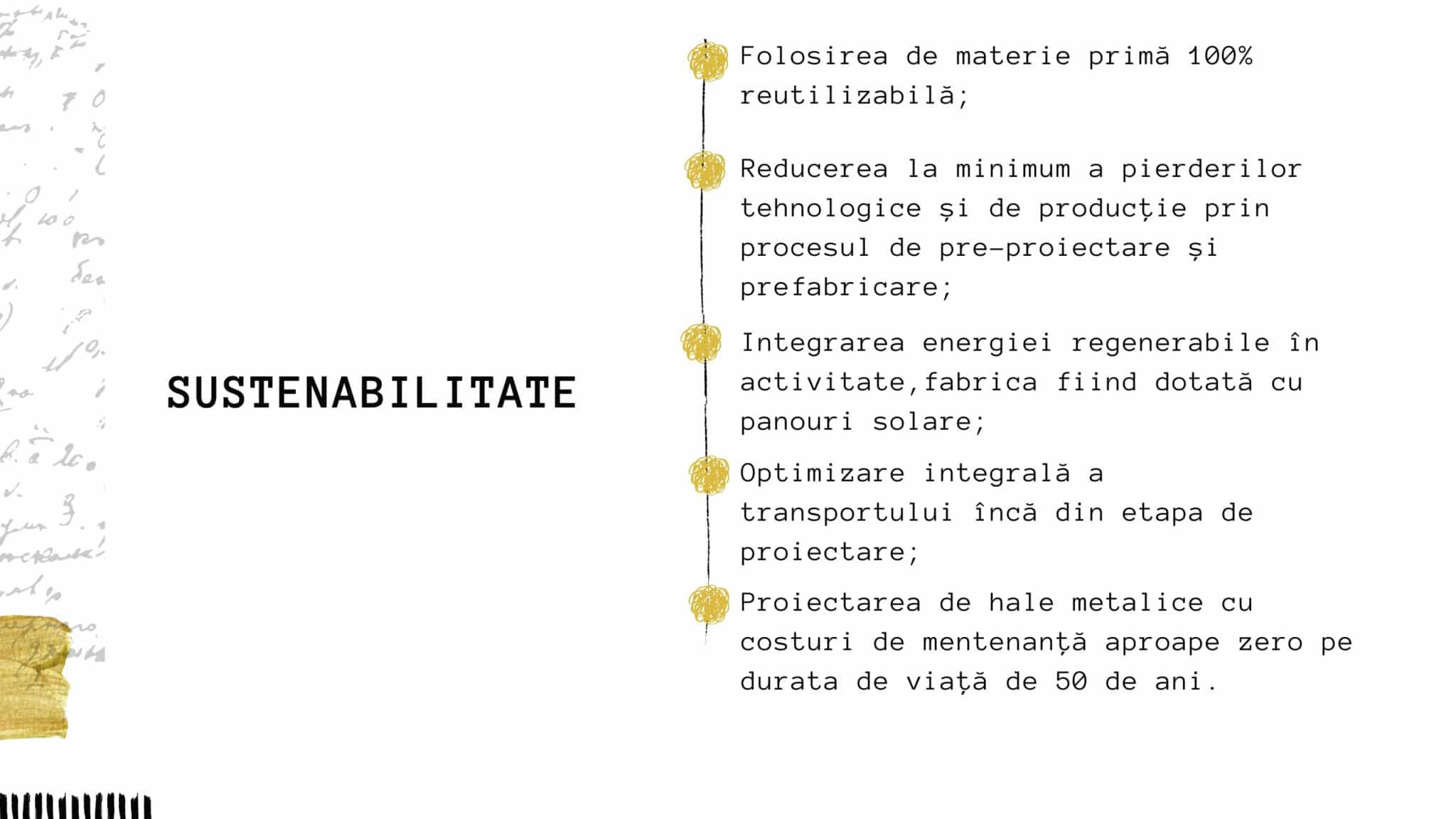 Frisomat sprijină afacerile sustenabile Lady in Black Frisomat 1 scaled