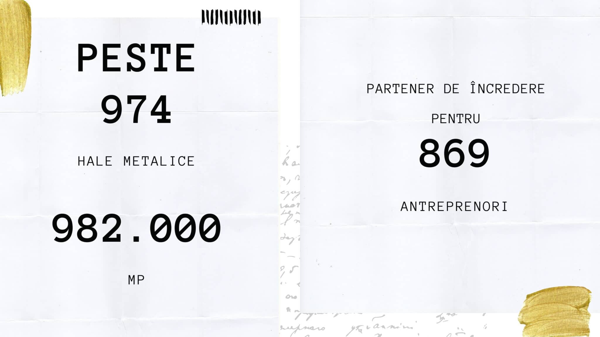 Frisomat sprijină afacerile sustenabile Lady in Black Frisomat 2 scaled