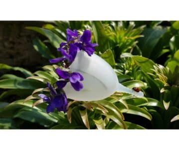 Cupa menstruală Femi.Eko®