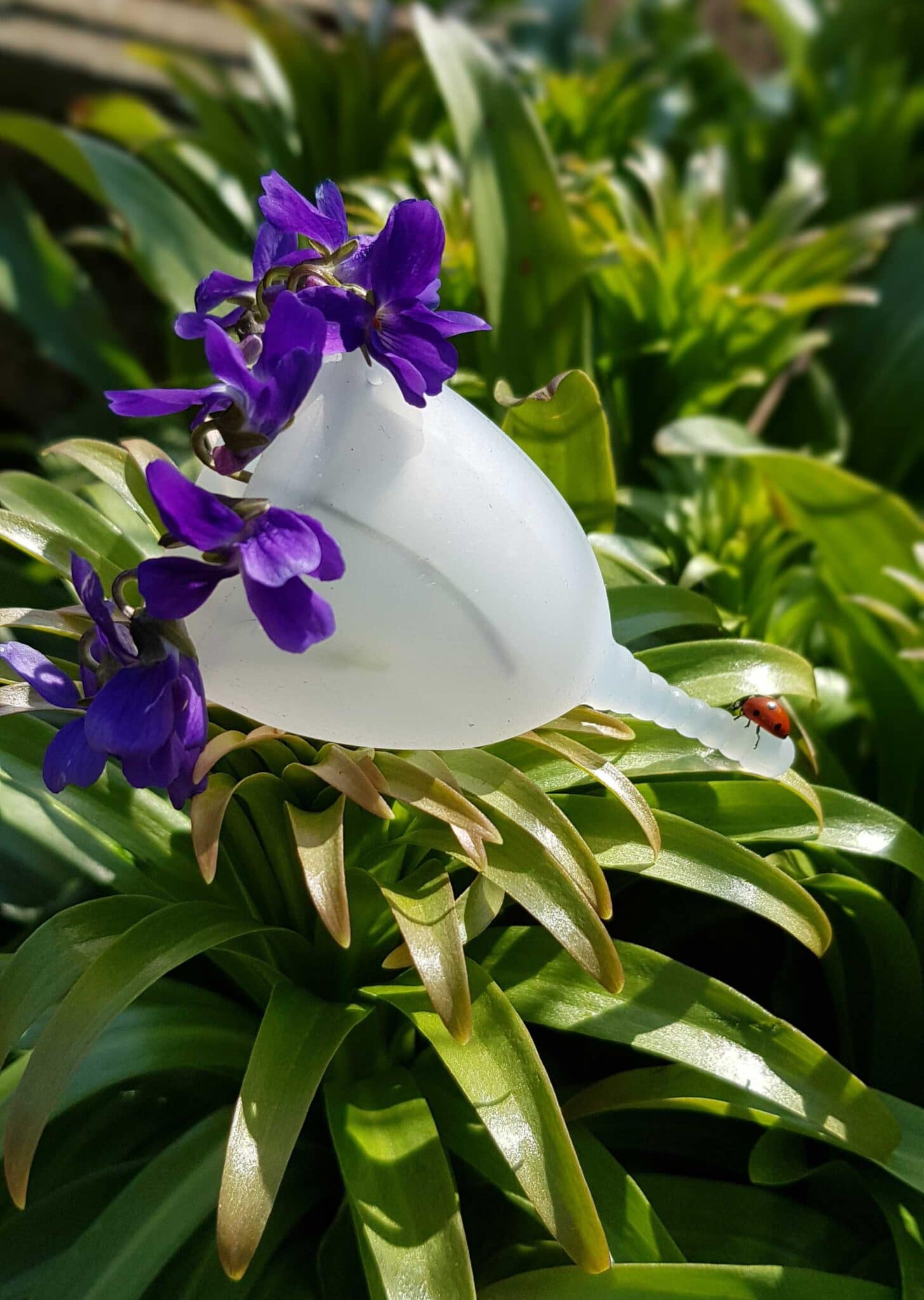 Cupa menstruală Femi.Eko® Lady in Black Cupa menstruala Femi.Eko® 6 scaled