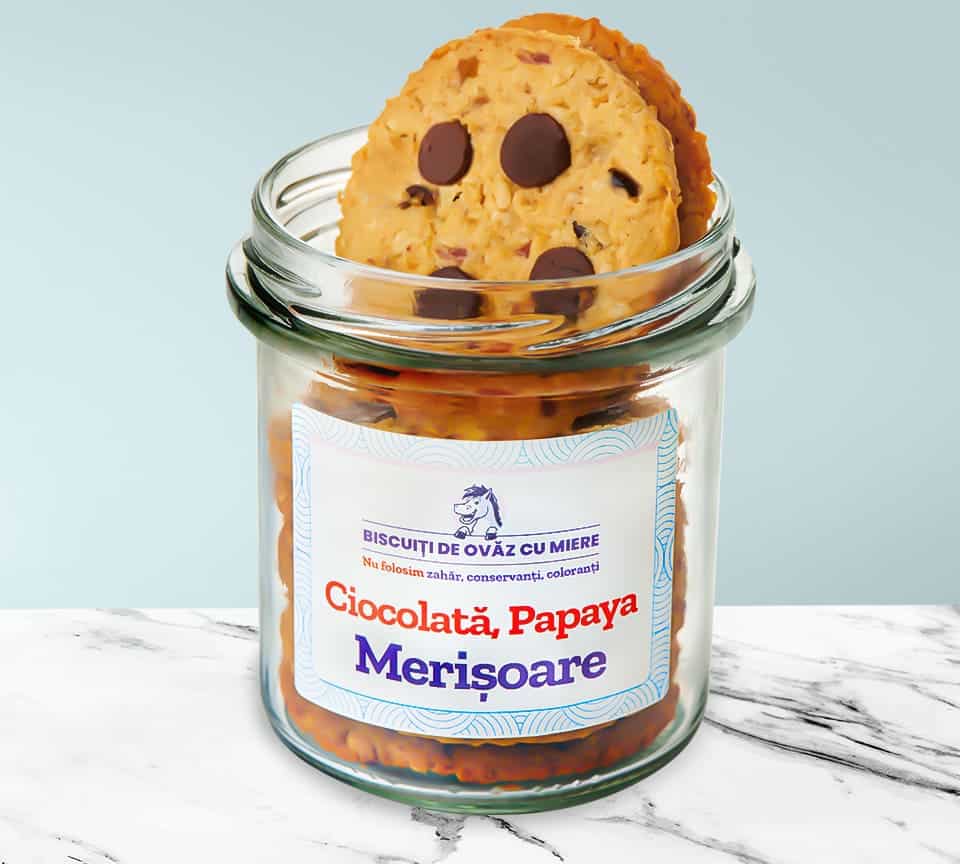 Mâncare sănătoasă de la Ohvăz.ro Lady in Black biscuiti de ovaz cu ciocolata papaya merisoare