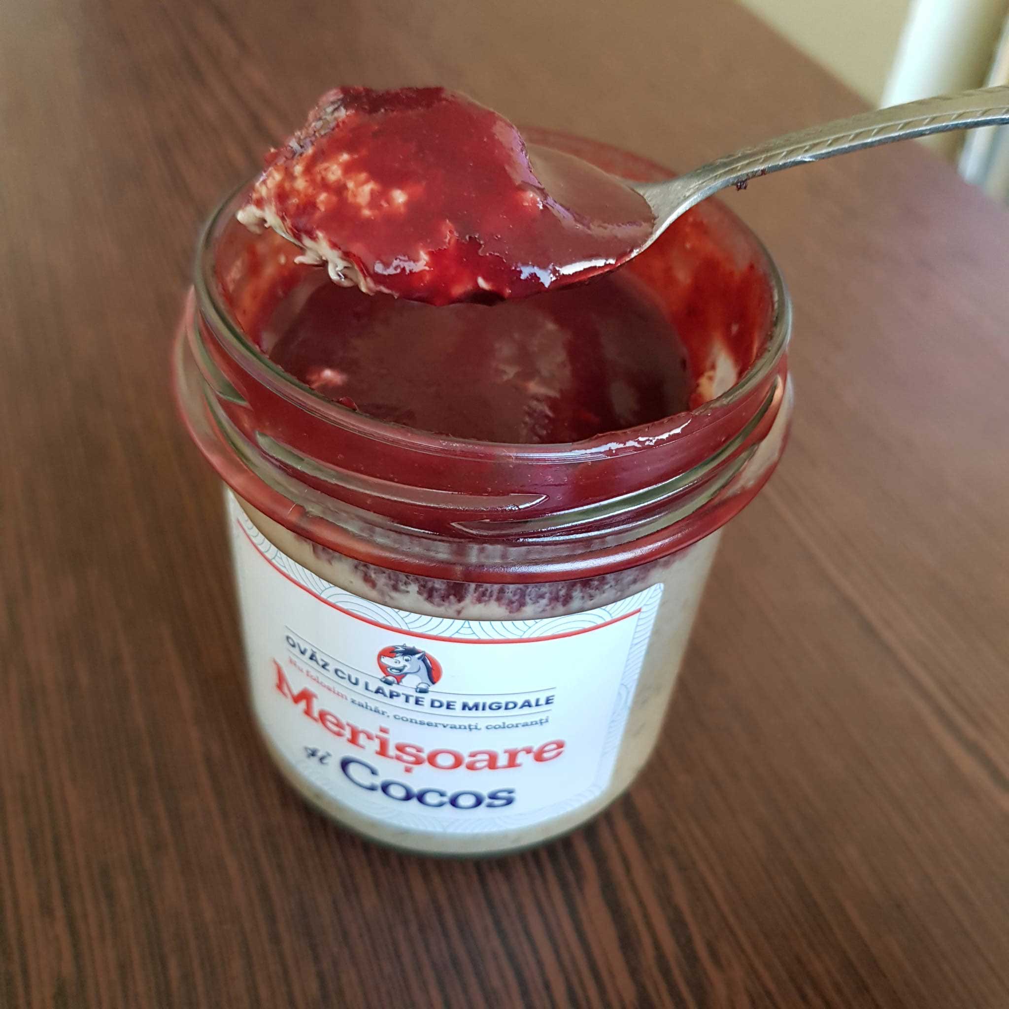 Mâncare sănătoasă de la Ohvăz.ro Lady in Black budinca-ohvaz-merisoare-si-cocos