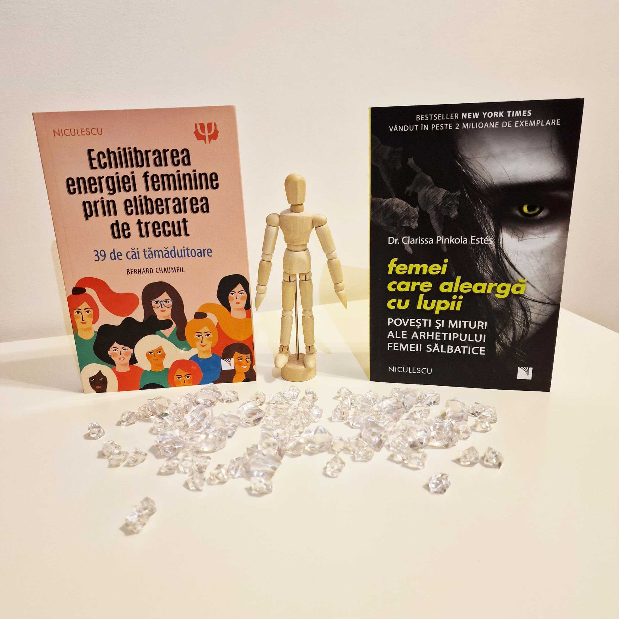 carti editura niculescu 2