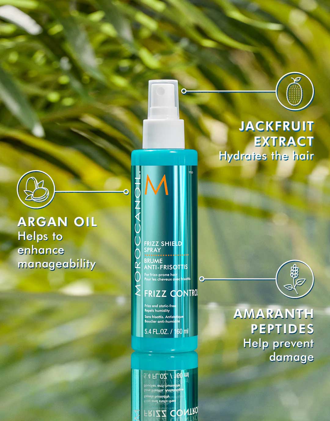 Îngrijirea părului în anotimpul rece Lady in Black Spray de protectie pentru par Moroccanoil Frizz Shield