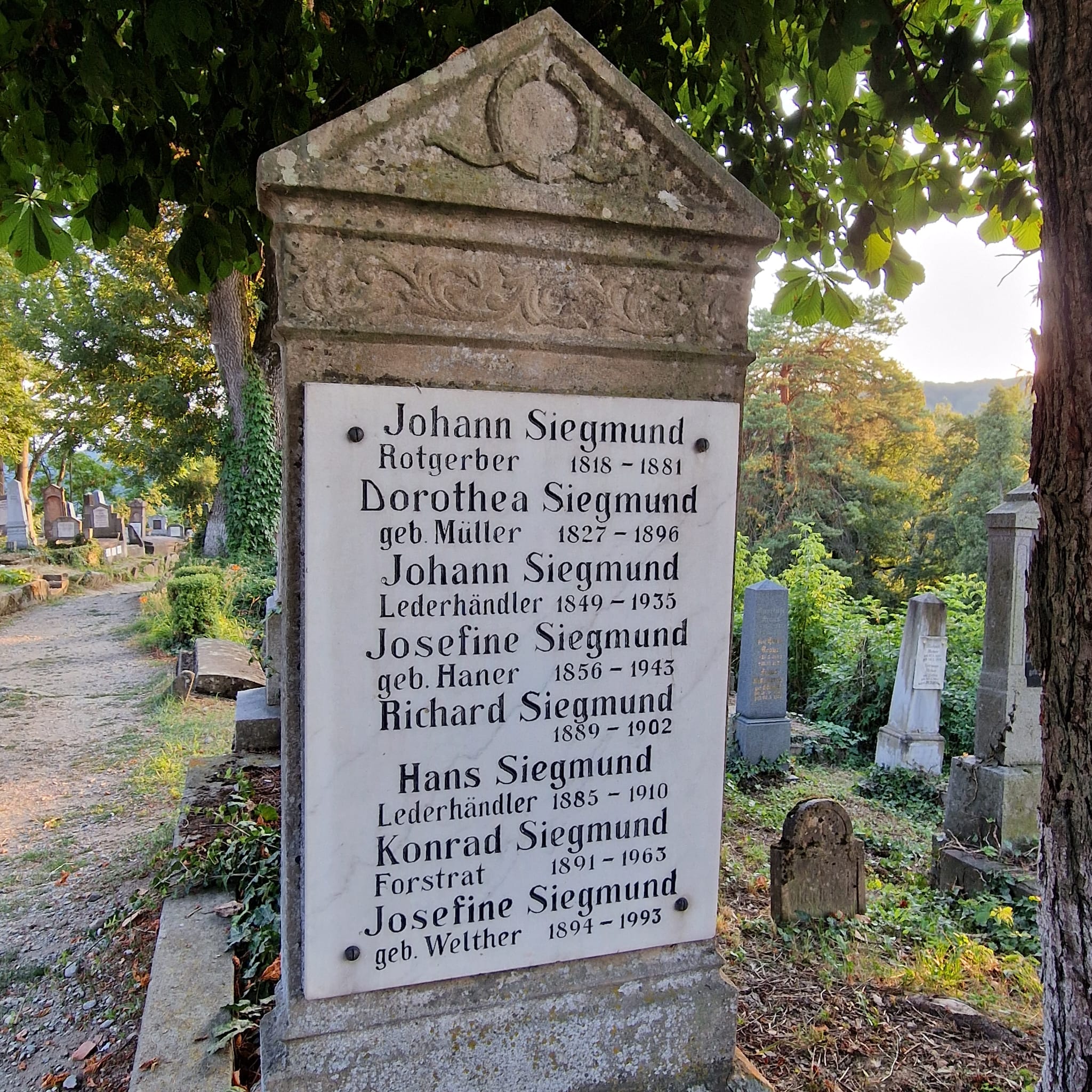 Călătorie la Sighișoara: locuri de vizitat și sfaturi utile Lady in Black Cimitirul evanghelic Sighisoara 10