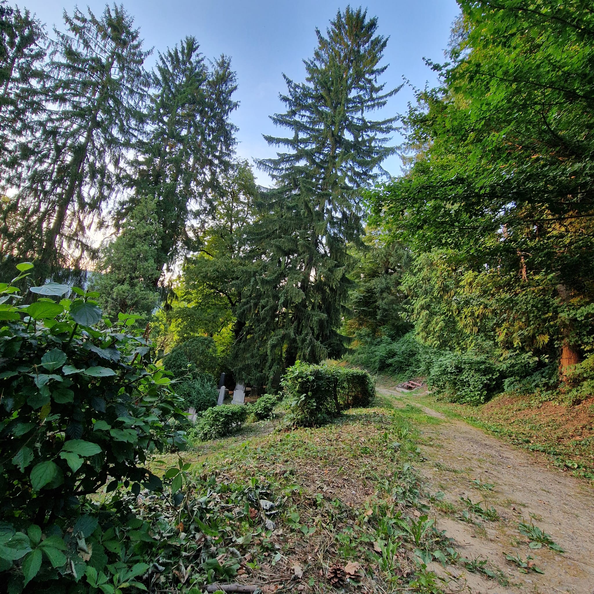 Călătorie la Sighișoara: locuri de vizitat și sfaturi utile Lady in Black Cimitirul evanghelic Sighisoara 6