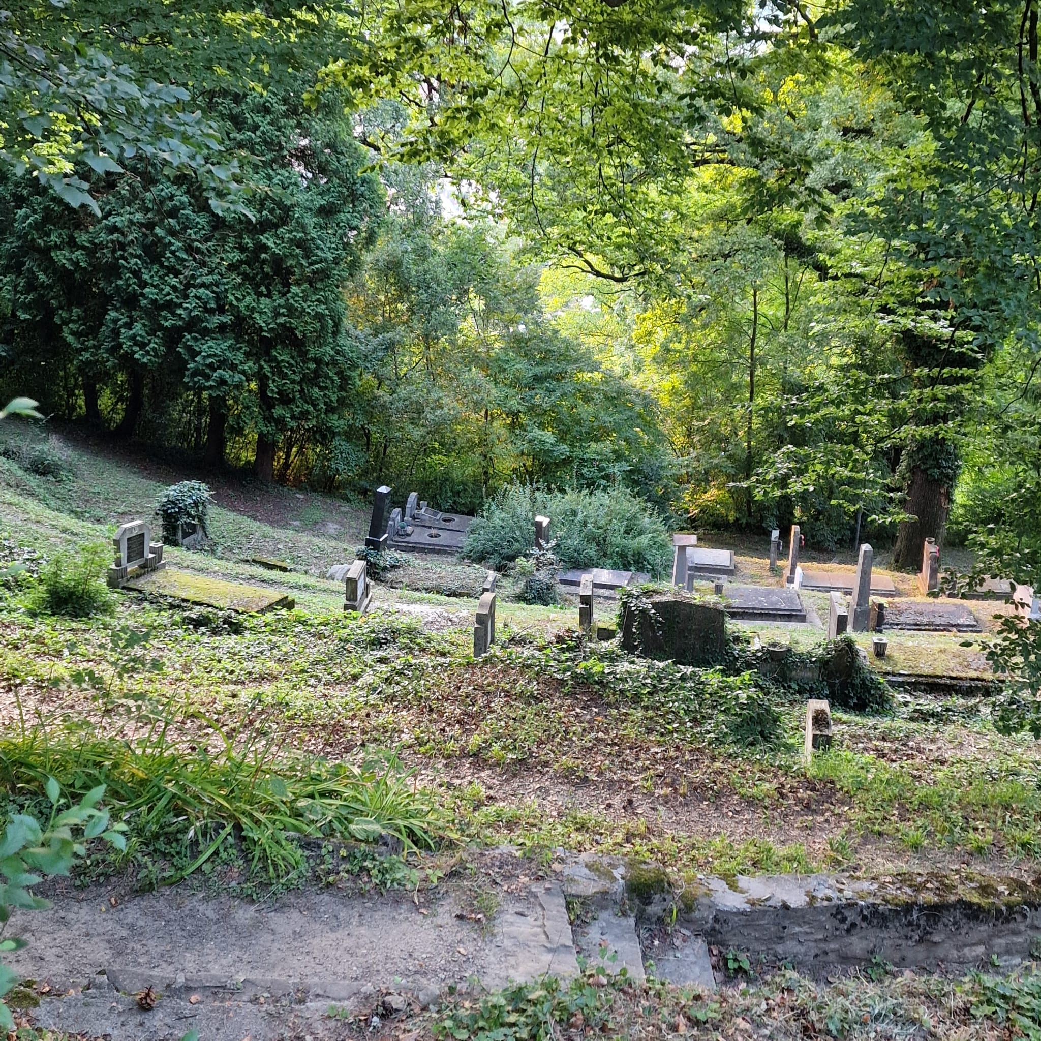 Călătorie la Sighișoara: locuri de vizitat și sfaturi utile Lady in Black Cimitirul evanghelic Sighisoara 7
