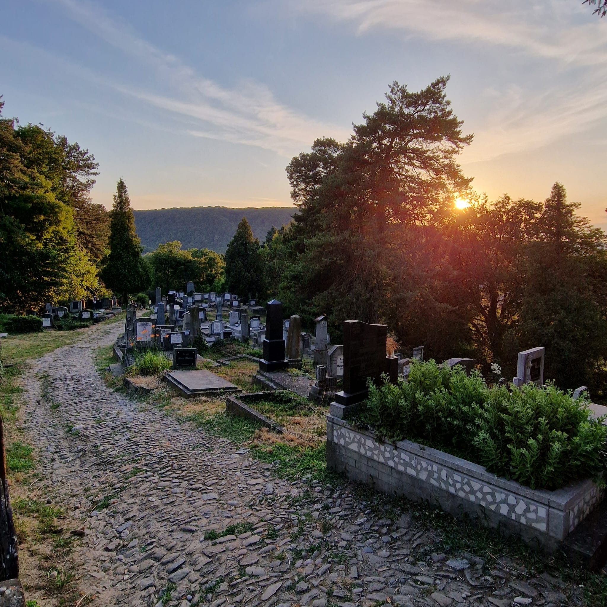 Călătorie la Sighișoara: locuri de vizitat și sfaturi utile Lady in Black Cimitirul evanghelic Sighisoara 8